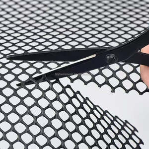 Filet d'Élevage en Plastique <span class=keywords><strong>pour</strong></span> Volaille, Clôture en Maille avec Attaches Gratuites, Filet Agricole Plat en Plastique <span class=keywords><strong>pour</strong></span> Poulets et Oies - Product Image 6