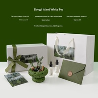 Ensemble de pierres aromatiques écologiques sans fumée avec huile essentielle fraîche de haute qualité pour décorations domestiques et utilisation en photographie