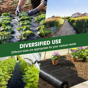 Película de Plástico Negro Biodegradable para Agricultura, para Cultivo de Tomates, Extrusión y Trefilado de Tela PP 70gsm-200gsm <span class=keywords><strong>CHAQ</strong></span> - Product Image 4