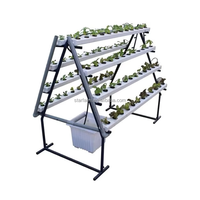 Systèmes de culture hydroponique NFT personnalisables pour plantes commerciales, type A, avec tuyaux galvanisés et PVC-U, système de canaux NFT