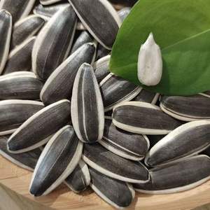 Semillas de Girasol Frescas Originales de Primera Calidad, Crudas y Secas, de <span class=keywords><strong>Mongolia</strong></span> Interior, 1 kg, Venta al por Mayor de Snacks - Product Image 5