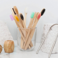 Fabricant de brosses à dents en bambou, brosse à dents pour adultes biodégradable à poils doux, respectueuse de l'environnement