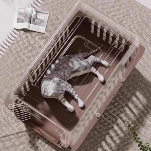 Transportín de Plástico Pequeño para Mascotas con Puerta de Alambre de Hierro, Transpirable, para Gatos y Perros Pequeños - Product Image 6