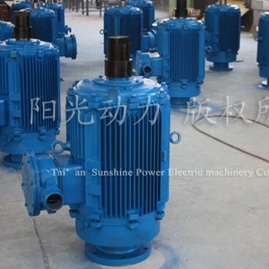 bibo Motor Variable Frequency <b>Screw</b> <b>Pump</b> Direct-drive High Torque at Low Speed Motor - Product Image 2