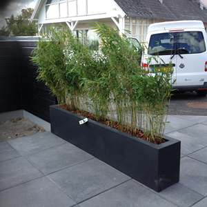 Macetas de Fibra de Vidrio Modernas y Minimalistas para Interiores y Exteriores, Ligeras, para Uso en el Hogar y el Jardín, Venta al por Mayor - Product Image 4