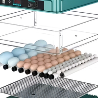 Nouveau design 2025 – Incubateur mini entièrement automatique 130 œufs, retournement automatique des œufs, matériau PP, taux d'éclosion de 98 % pour poulets