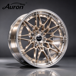 Jante en alliage d'aluminium multi-rayons Auron, finition brossée, 2 pièces moulées, pour la mise à niveau des voitures particulières - Product Image 1
