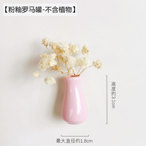 Mini Jarrones Magnéticos, Jarrones para Flores Pequeños y Lindos, Nuevos Imanes de Cerámica para Refrigerador 2026, Jarrón de Flores de Cerámica 3D Divertido para Refrigerador - Product Image 6