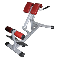 Chaise romaine d'extension de dos d'équipement commercial de gymnastique pour l'entraînement de force abdominale de banc d'hyperextension de musculation