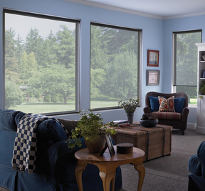 Thông Minh Động Cơ Điện Rèm Lăn Kem Chống Nắng Vải Từ Xa Ứng Dụng Hệ Thống Được Xây Dựng Trong Cài Đặt Đồng Bằng Kỹ Thuật Cho Cửa Sổ Bóng Râm - Product Image 4