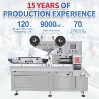 Shengwei Machine de comptage, peseur de fraises, boule de chocolat, barbe à papa, chocolat, haricots, oreiller, Machine d'emballage