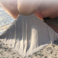 La mejor cinta de goma butílica, cinta impermeable para reparación de canalones de parches de techo de acero, cinta adhesiva de goma butílica de papel de aluminio