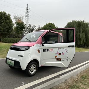 Mini Van elettrico per adulti auto a due porte con cambio automatico 4 ruote nuovo veicolo energetico - Product Image 5