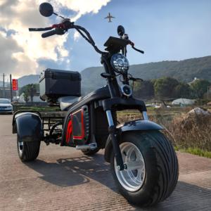 2025 diseño moderno almacén <span class=keywords><strong>Europa</strong></span> <span class=keywords><strong>3</strong></span> ruedas Citycoco con batería de 60V 20AH - Product Image 3