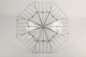 European Style <strong>2</strong>-<strong>Fold</strong> <strong>Umbrella</strong> with J-Handle Simple Transparent Hanging Manual Straight Stick <strong>Umbrella</strong> Option - Product Image 3