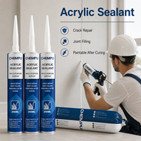Lot économique de mastic acrylique blanc 1K à faible rétrécissement pour la décoration, idéal pour les joints de plafond et comme remplisseur d'espaces acrylique soigné