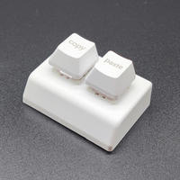 Harga Grosir Kustom Keyboard Mekanik 2 Tombol USB Keypad Salin Tempel Kata Sandi Kombinasi Multi-tombol Tombol Pintasan Kustom