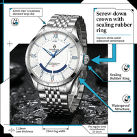 Montre automatique à mouvement mécanique HENBOSE en collaboration avec l'Institut norvégien de l'aurore boréale, édition limitée, acier inoxydable, saphir