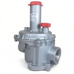 Regulador de Pressão de Gás Natural para Queimador, Válvula Redutora de Pressão de Gás Liquefeito - Product Image 5