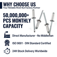 Rivets à tête fraisée plate en acier inoxydable SUS304, rivets aveugles industriels à extrémité ouverte, rivets à tête CSK