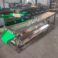 304 RVS Fruit- en Groentesorteermachine, Multifunctioneel, Grote Capaciteit, Tomaten, Aardappelen, Kersen Sorteermachine