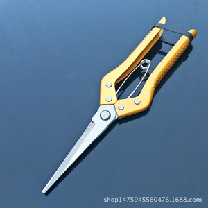 Ciseaux de cueillette de fruits Okahiro, 190 mm, en acier à haute teneur en carbone, tête droite, jaunes, outils de jardinage pour la récolte et l'éclaircissement des plantes - Product Image 4