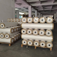 Papier de sublimation adhésif 610 mm 100 g/m², anti-effet fantôme et anti-bouclage, pour impression numérique et transfert thermique sur textiles