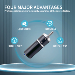 12v 브러시리스 <span class=keywords><strong>DC</strong></span> 모터 28mm <span class=keywords><strong>2Nm</strong></span> 높은 토크 유성 기어 박스 <span class=keywords><strong>DC</strong></span> 기어 브러시리스 모터 12V 24v 100rpm BLDC 모터 엔진 - Product Image 2