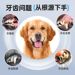 Nettoyeur dentaire ultrasonique pour animaux de compagnie, élimination du tartre, soins buccaux pour chiens et chats, brosse à dents électrique, outil de toilettage rechargeable pour animaux de compagnie - Product Image 3