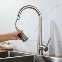 Robinet de cuisine intelligent à capteur monté sur pont au design moderne avec noyau de valve en céramique, poignée unique, douchette extractible, finition en acier inoxydable