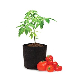 Vente chaude Jardin Sac De Culture De Pommes De Terre En Gros Sac de Culture en <span class=keywords><strong>Feutre</strong></span> - Product Image 4