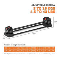 Ensemble de barres d'haltères réglables de 19 kg (43 lb) à 12 niveaux pour la musculation à domicile, équipement de fitness pour la musculation et l'entraînement en force