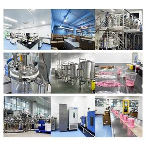 Aceite Esencial <span class=keywords><strong>de</strong></span> Semilla <span class=keywords><strong>de</strong></span> Chile Puro y Natural, Extracto <span class=keywords><strong>de</strong></span> <span class=keywords><strong>Planta</strong></span> Orgánico Personalizado OEM/ODM, Relaja el Cuerpo y la Mente, Mejora la Calidad del Sueño - Product Image 5