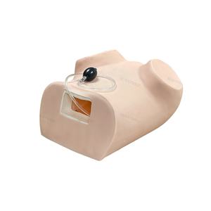 SY-N003 de entrenamiento ginecológico, modelo anatomico médico, precio - Product Image 1