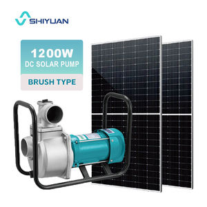 Pompes centrifuges de surface portables de 2 pouces 110V DC à énergie solaire pour l'irrigation agricole en Chine - Product Image 1