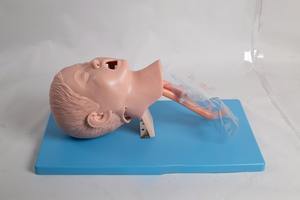 उचित मूल्य उन्नत pvc बाल चिकित्सा वायुमार्ग मैनिकिन बाल ट्रेक्सेकर प्रशिक्षण मॉडल मानव जीवन का आकार आईएसओ - Product Image 4