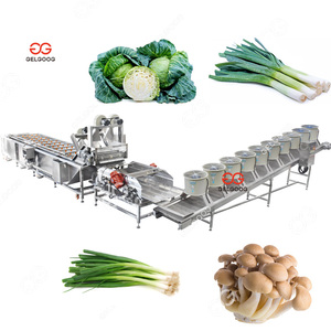 เครื่องล้างผักและผลไม้คุณภาพสูง Gelgoog สภาพใหม่ พร้อมสายการผลิตเครื่องอบแห้งผักใบเขียว - Product Image 3