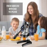 Gietijzeren Citruspers Extra Grote Commerciële Kwaliteit Handmatige Handpers Zware Countertop Squeezer Voor Verse Sinaasappelsap