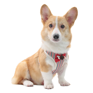 Nuevo estilo diseñadores personalizados suministros para mascotas perro gato chaleco arnés Correa conjunto - Product Image 3