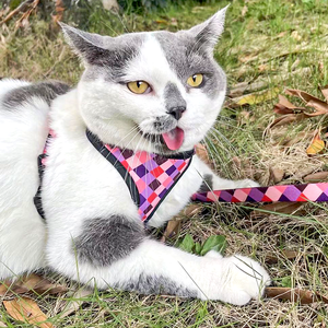 2025 merah muda mewah desain khusus nilon anjing Harness disesuaikan tidak ada tarik perlengkapan untuk hewan peliharaan kecil sublimasi aksesoris hewan peliharaan - Product Image 5