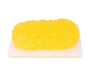 แบบจำลองไขมันพลาสติก อุปกรณ์สาธิตทางกายวิภาค อุปกรณ์การศึกษาด้านวิทยาศาสตร์ร่างกาย อุปกรณ์ช่วยสอนทางการแพทย์ โภชนาการ - Product Image 1