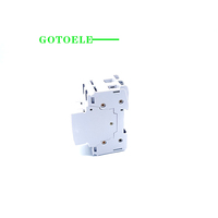 GOTOELE MCB SPD 2P Tipo OVBR BT2 20KA 220V 50/60Hz Montaje en Riel Uso Industrial Capacidad de Ruptura de 10kA Protección LSIG