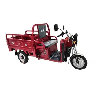 Easy To Operate 58Ah Electrically Operated Tricycle 3 Wheels City Pedal Tricycles For Adult