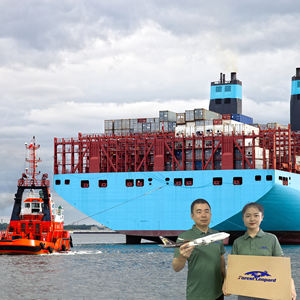 Envío internacional Envío marítimo desde <span class=keywords><strong>Xiamen</strong></span> Ningbgo Shanghai China a EE. UU. CA UK DE NL - Product Image 3