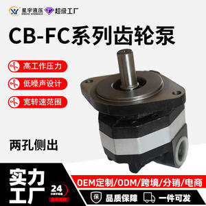 Pompes hydrauliques à engrenages de la série CB-FC10/16/18/25/32/40/50/60 avec vannes de mesure à deux trous, neuves et d'occasion - Product Image 2