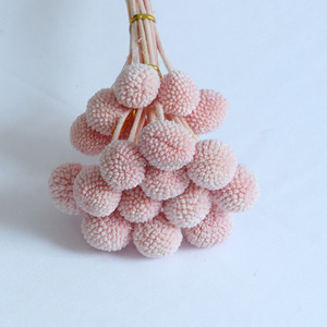 20 Pièces de Fleurs Naturelles Éternelles Colorées et Fraîches, Bouquet de Craspédias Billy Button Dorés pour Décoration de Mariage - Product Image 4