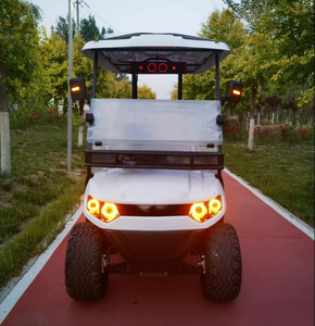 Scooter de Cuatro Ruedas Modelo E50 C, 4 Plazas, con Sensor Electrónico, Autonomía de 60-80 km, Batería de 21-30 Ah, Velocidad de 21-30 km/h, Unisex, HKGB-Golf-4 - Product Image 5