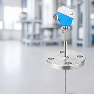 Termómetro Industrial de Medición de Temperatura E+H Endress+Hauser TM121 RTD o Termopar, Nuevo, Hecho en China - Product Image 4