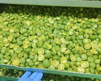 Voedselveilige roestvrijstalen vriesdrooginstallatie/lyofilisator, meerdere capaciteitsmodellen voor het drogen van fruit, groenten en dierenvoer in fabrieken