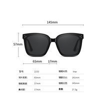 Lunettes de soleil polarisées surdimensionnées Monster tendance 2026, nouvelle collection, pour hommes et femmes